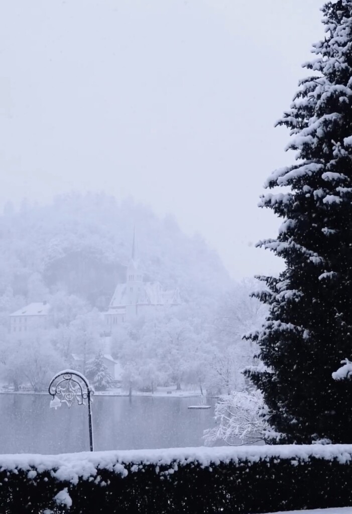 neve bled slovenia