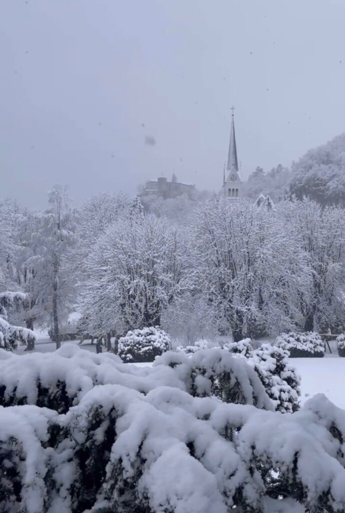 neve bled slovenia