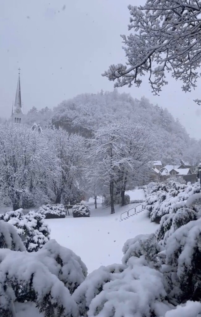 neve bled slovenia