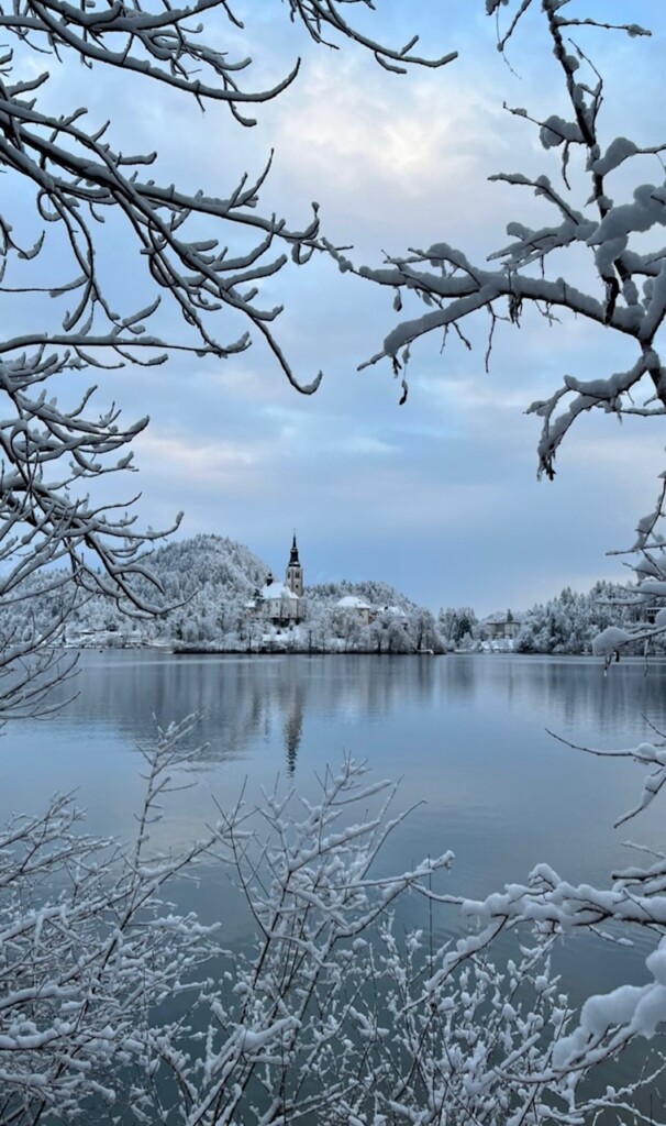 neve bled slovenia