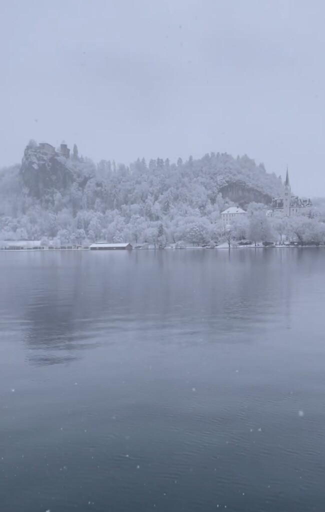 neve bled slovenia