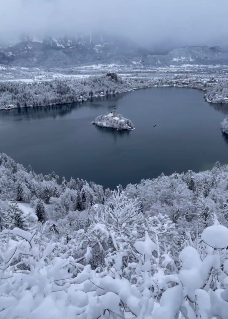 neve bled slovenia