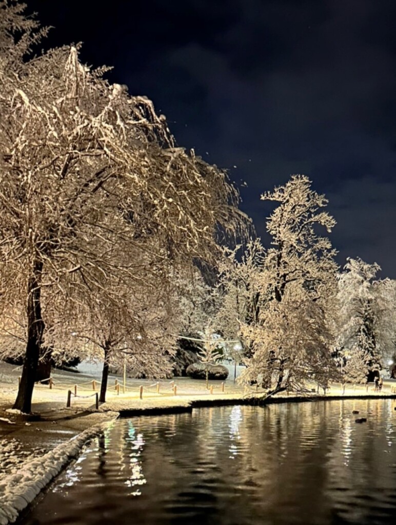 neve bled slovenia