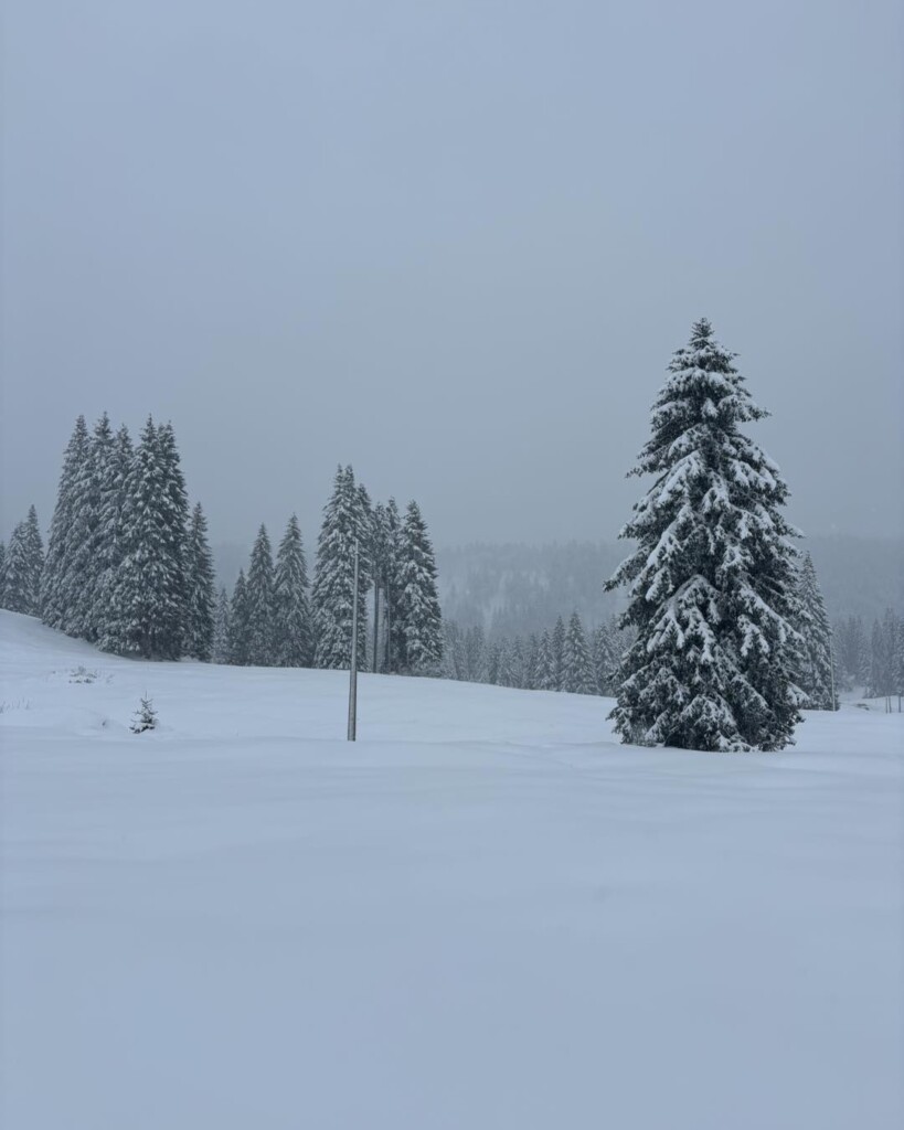 neve campolongo veneto