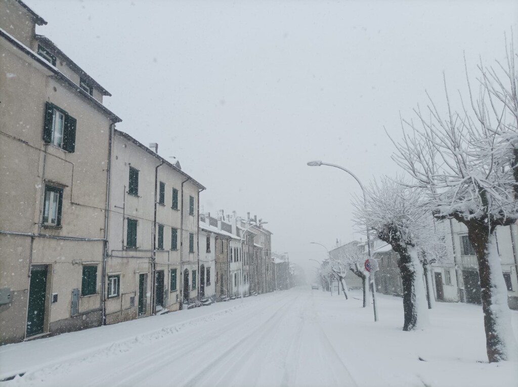 neve capracotta