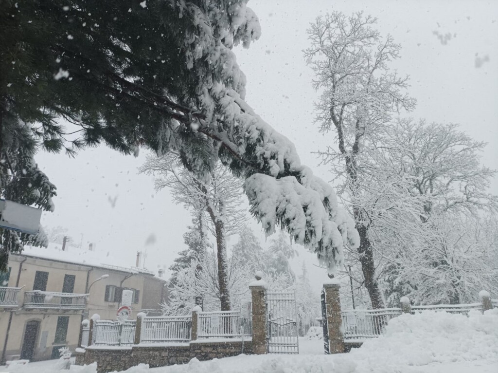 neve capracotta