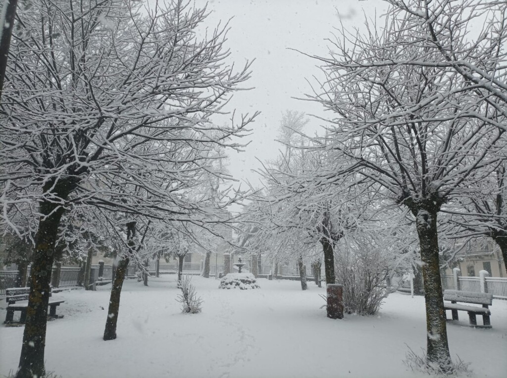 neve capracotta