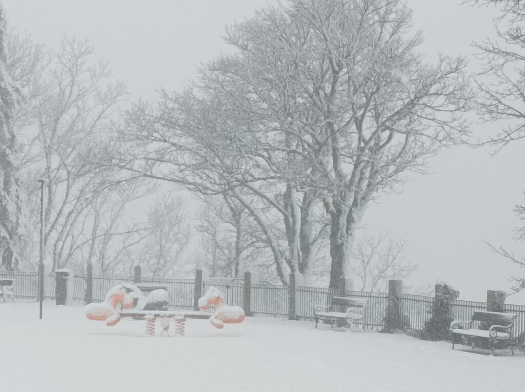 neve capracotta