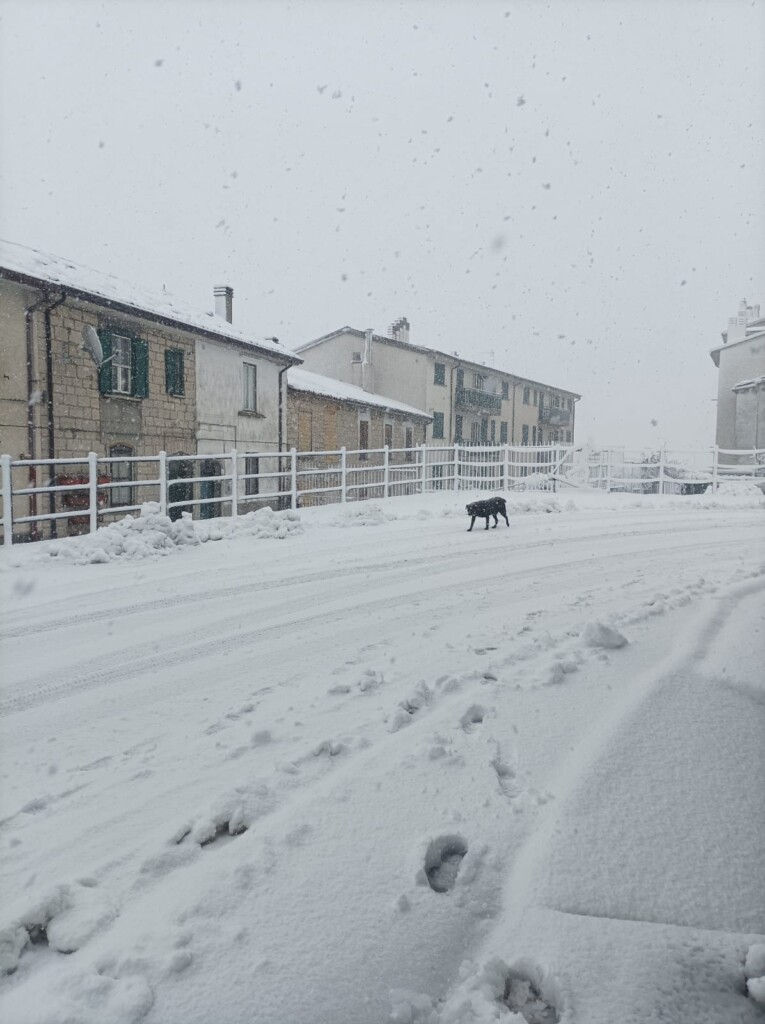 neve capracotta