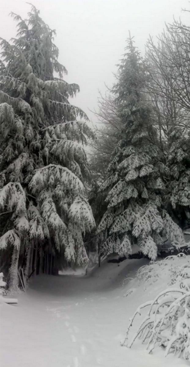 Prima neve sul Gennargentu