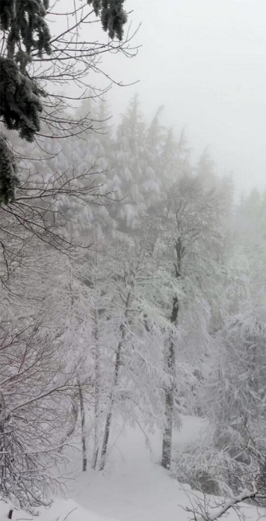 Prima neve sul Gennargentu