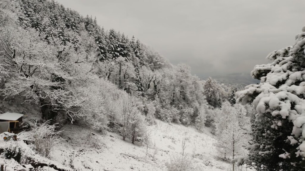 neve piemonte