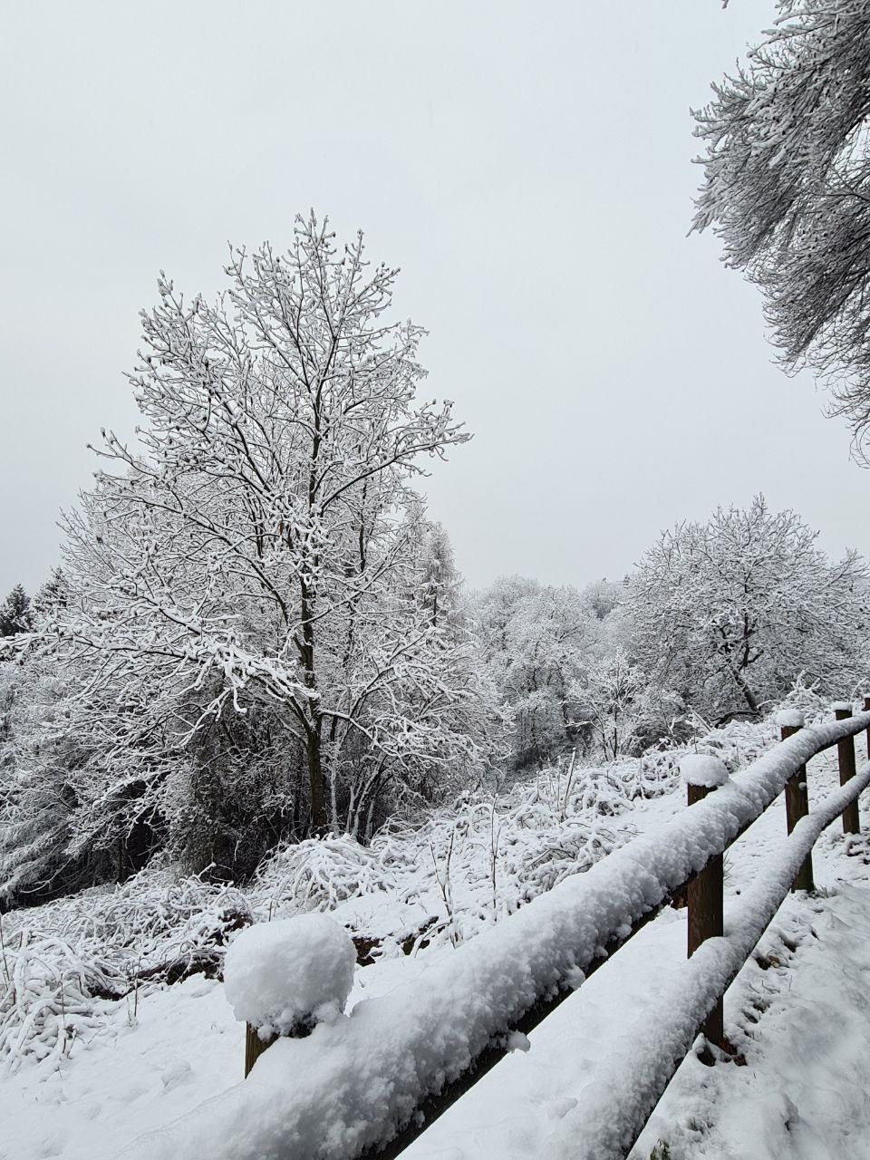 neve piemonte