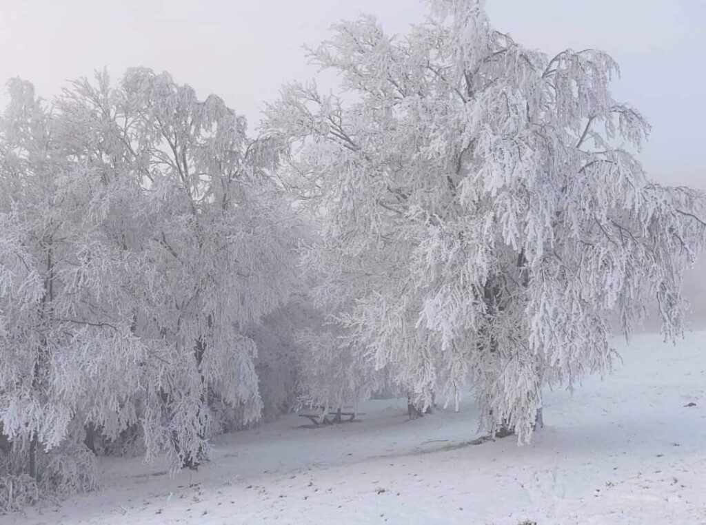 neve prato gentile capracotta