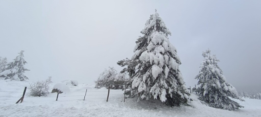 neve sila 9 gennaio 2023