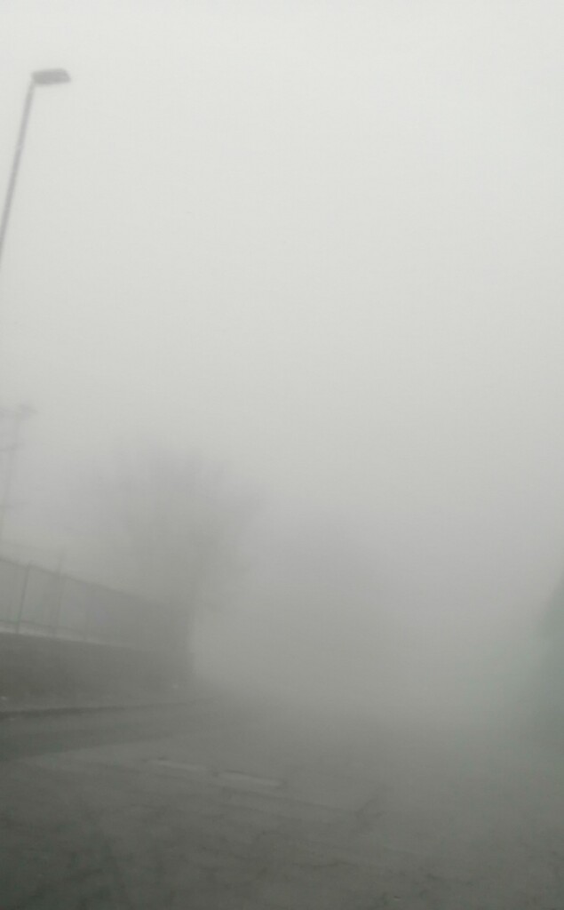 Pedara-Zafferana nebbia etna