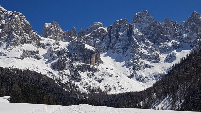 Valanga sulle Pale di San Martino, Soccorso alpino sul posto