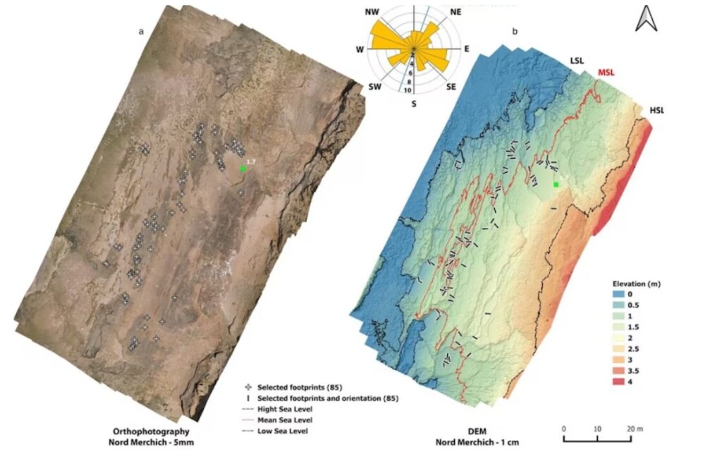 impronte homo sapiens marocco