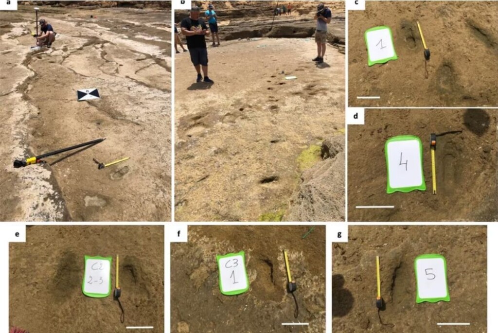 impronte homo sapiens marocco