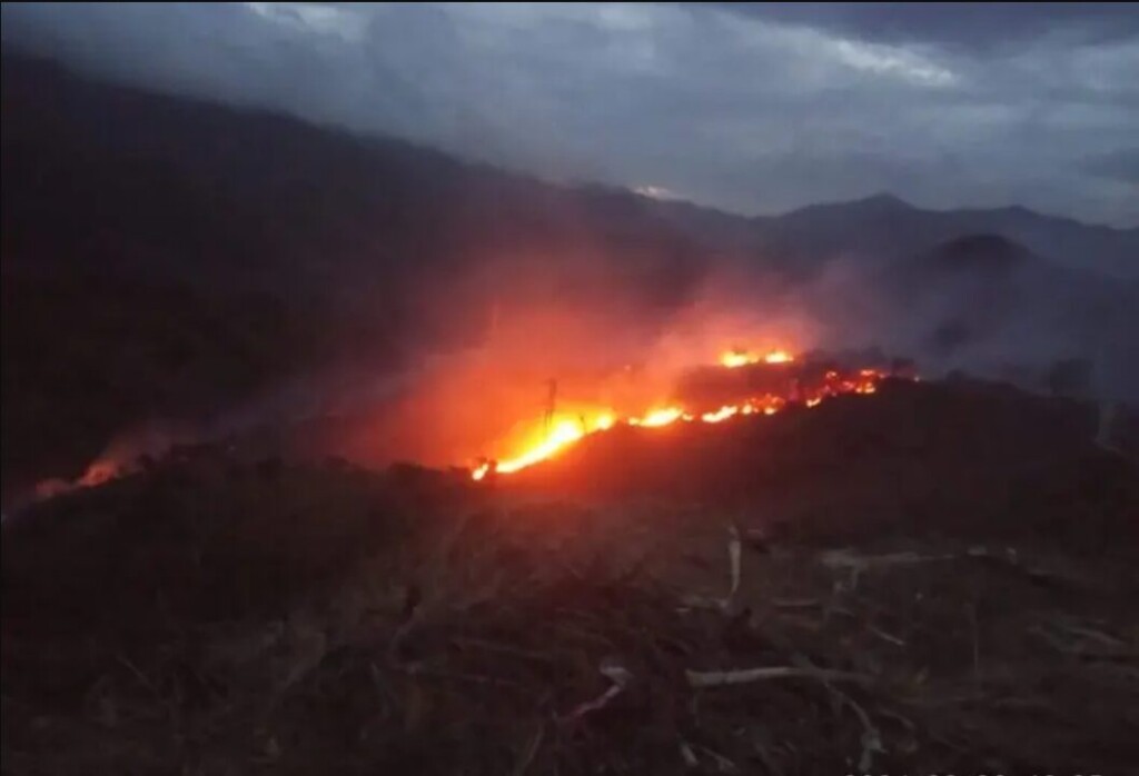 incendi messina