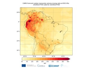 incendi sud america