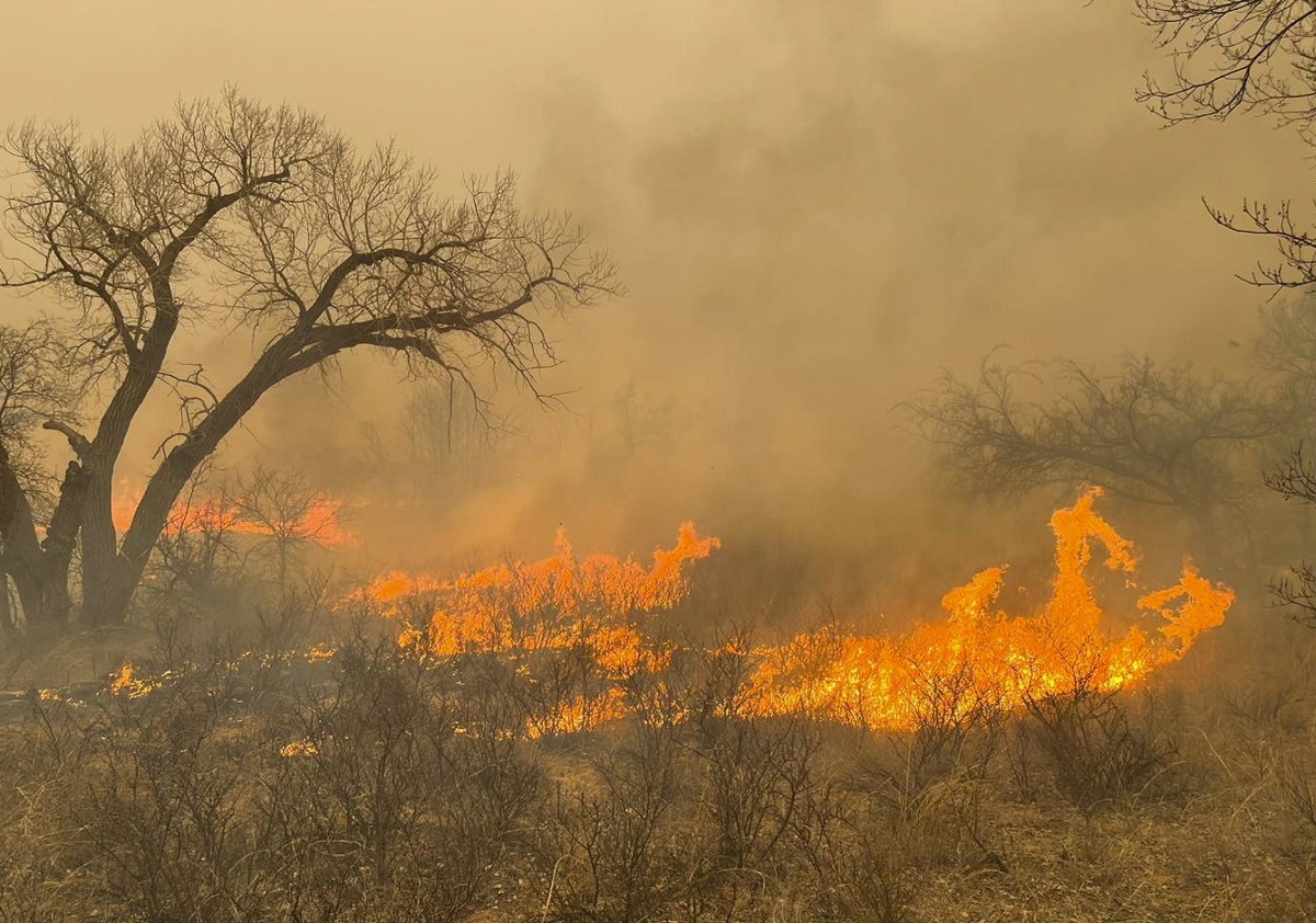 incendio texas