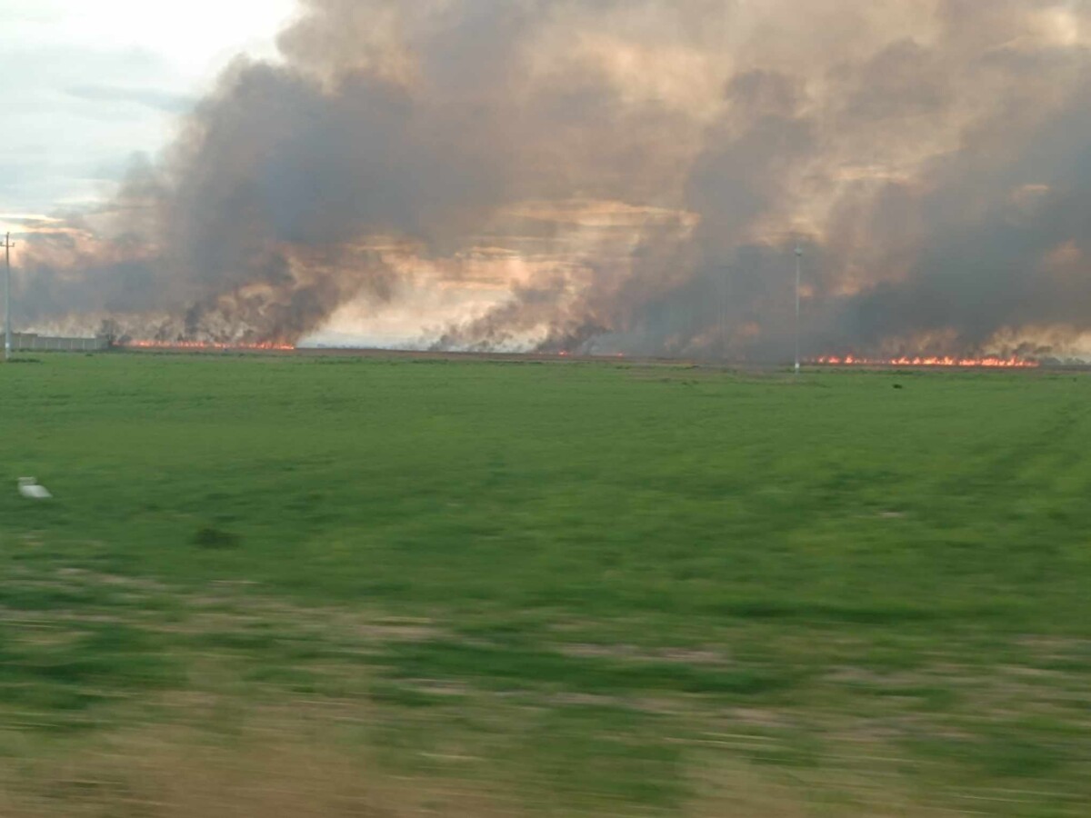 incendio riserva San Floriano a Zapponeta