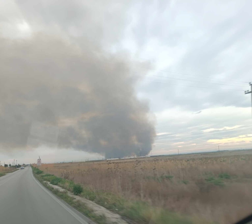 incendio riserva San Floriano a Zapponeta