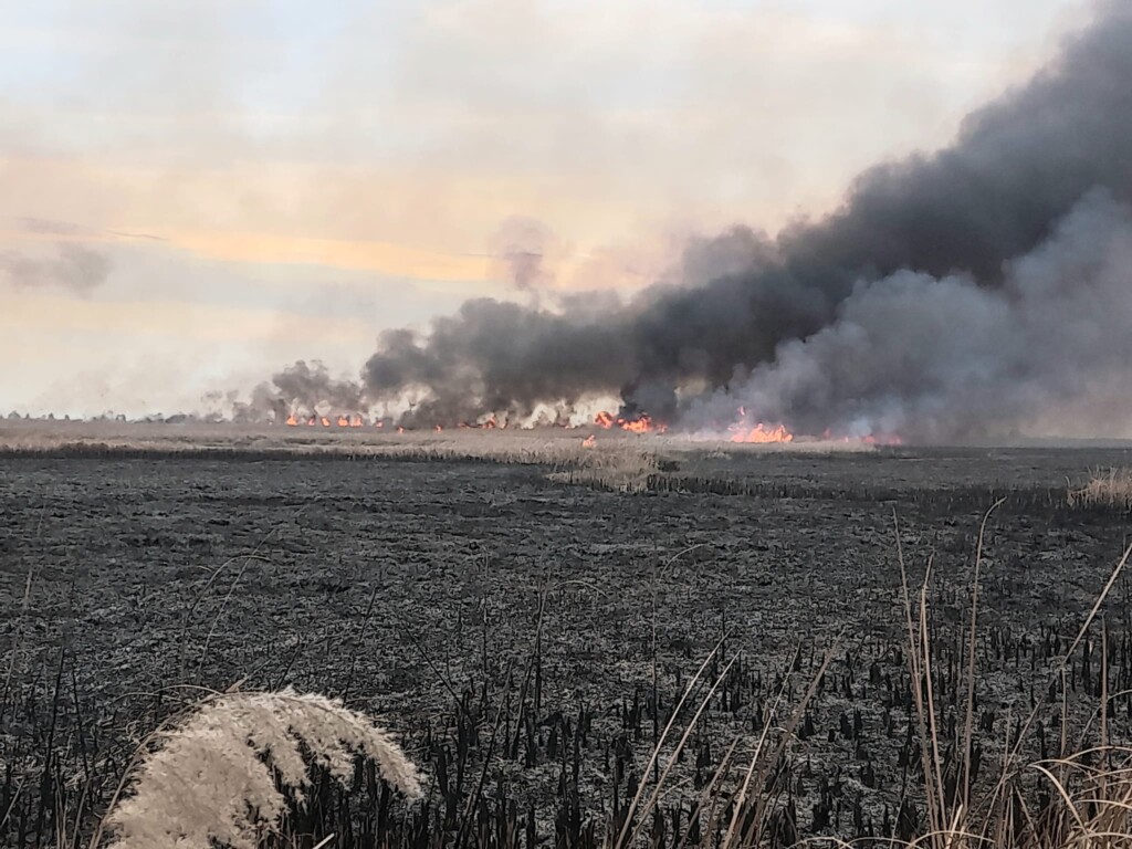 incendio riserva San Floriano a Zapponeta