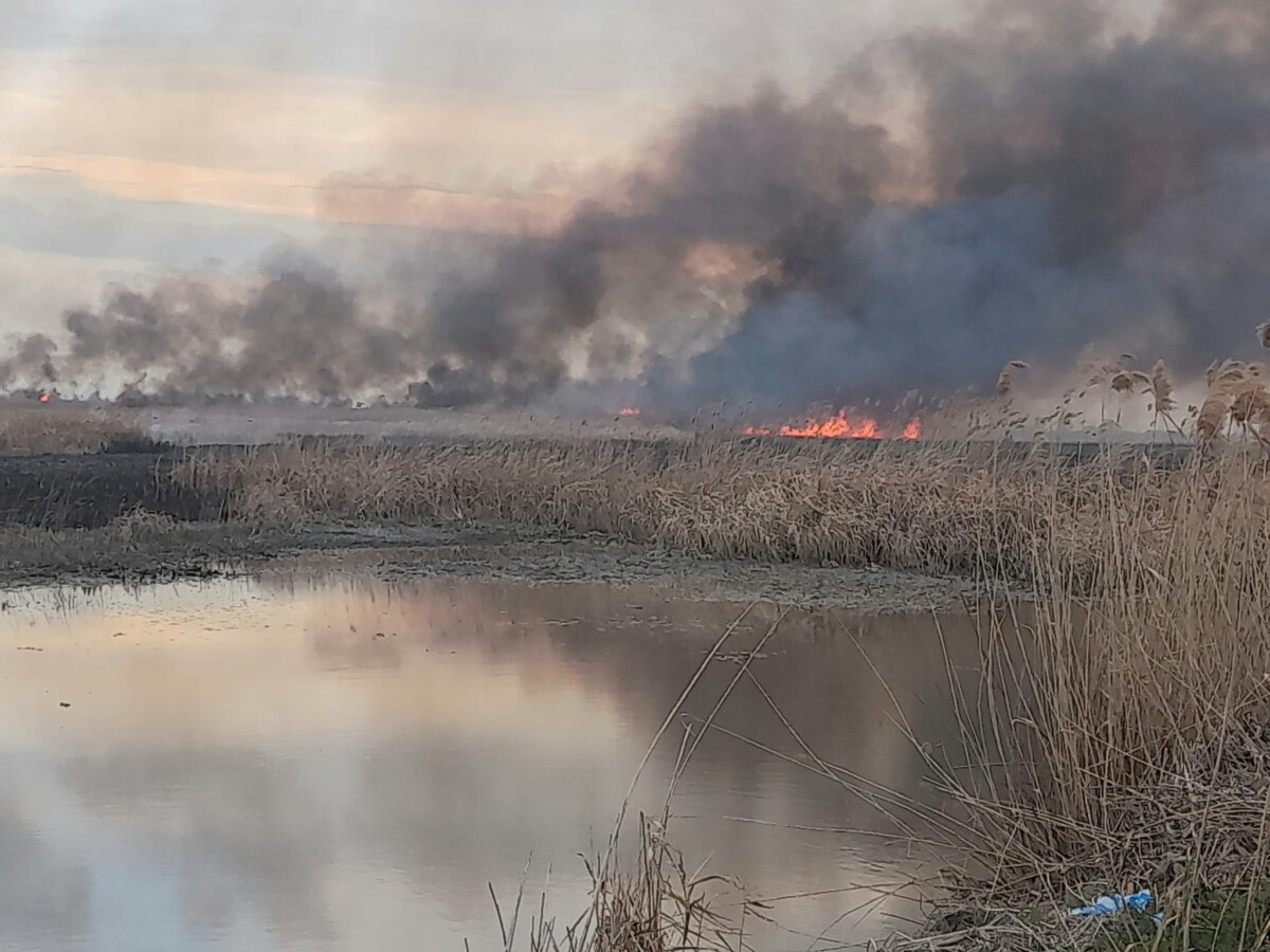 incendio riserva San Floriano a Zapponeta