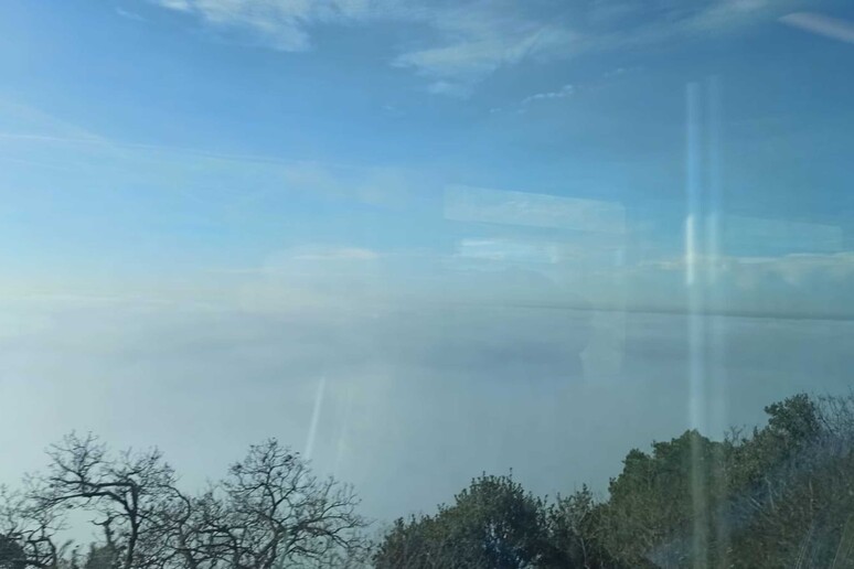 nebbia trieste