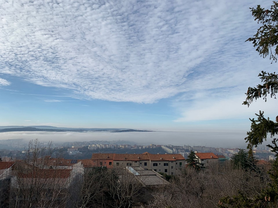 nebbia trieste