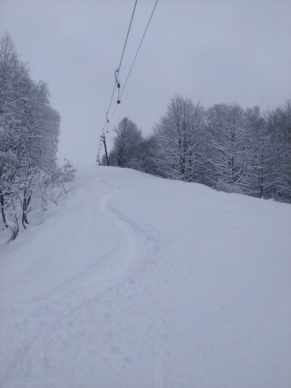 neve Limone Piemonte