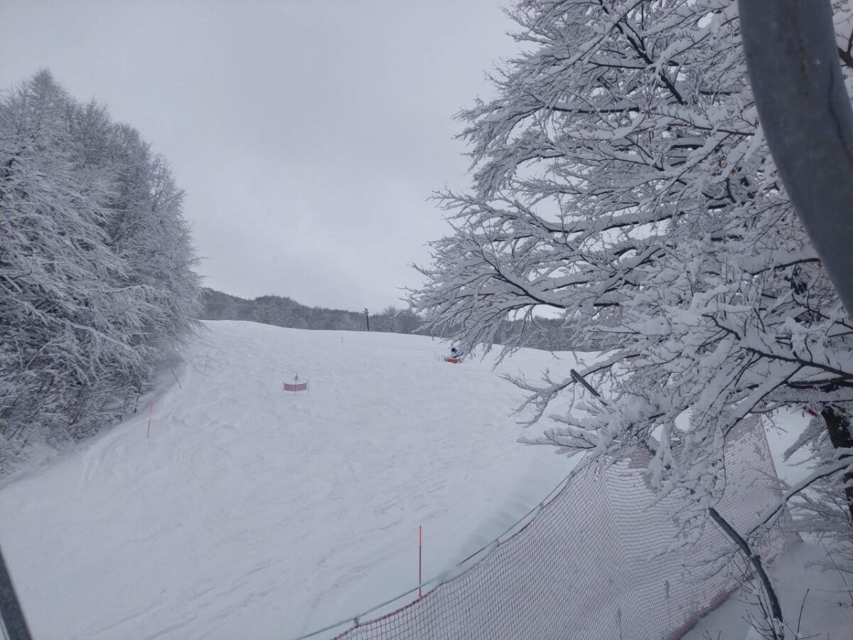 neve Limone Piemonte