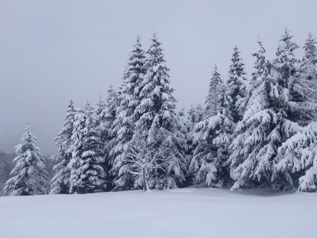 neve Limone Piemonte