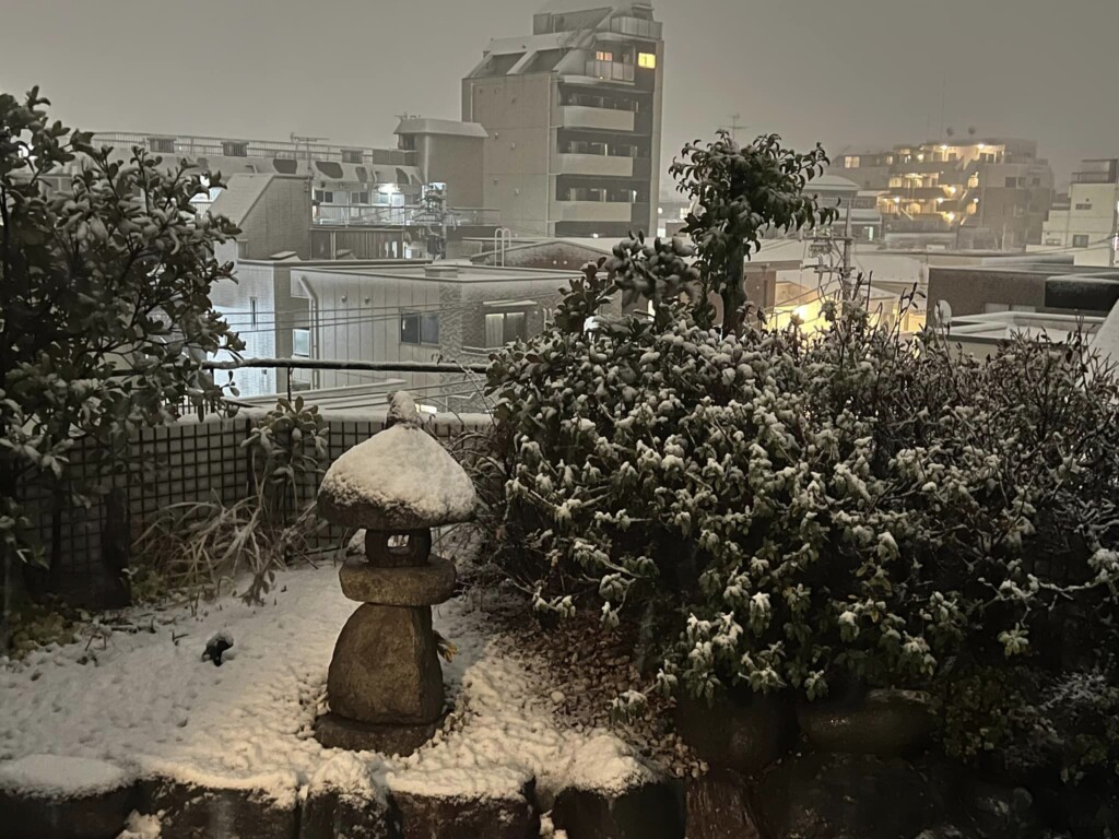 neve giappone tokyo