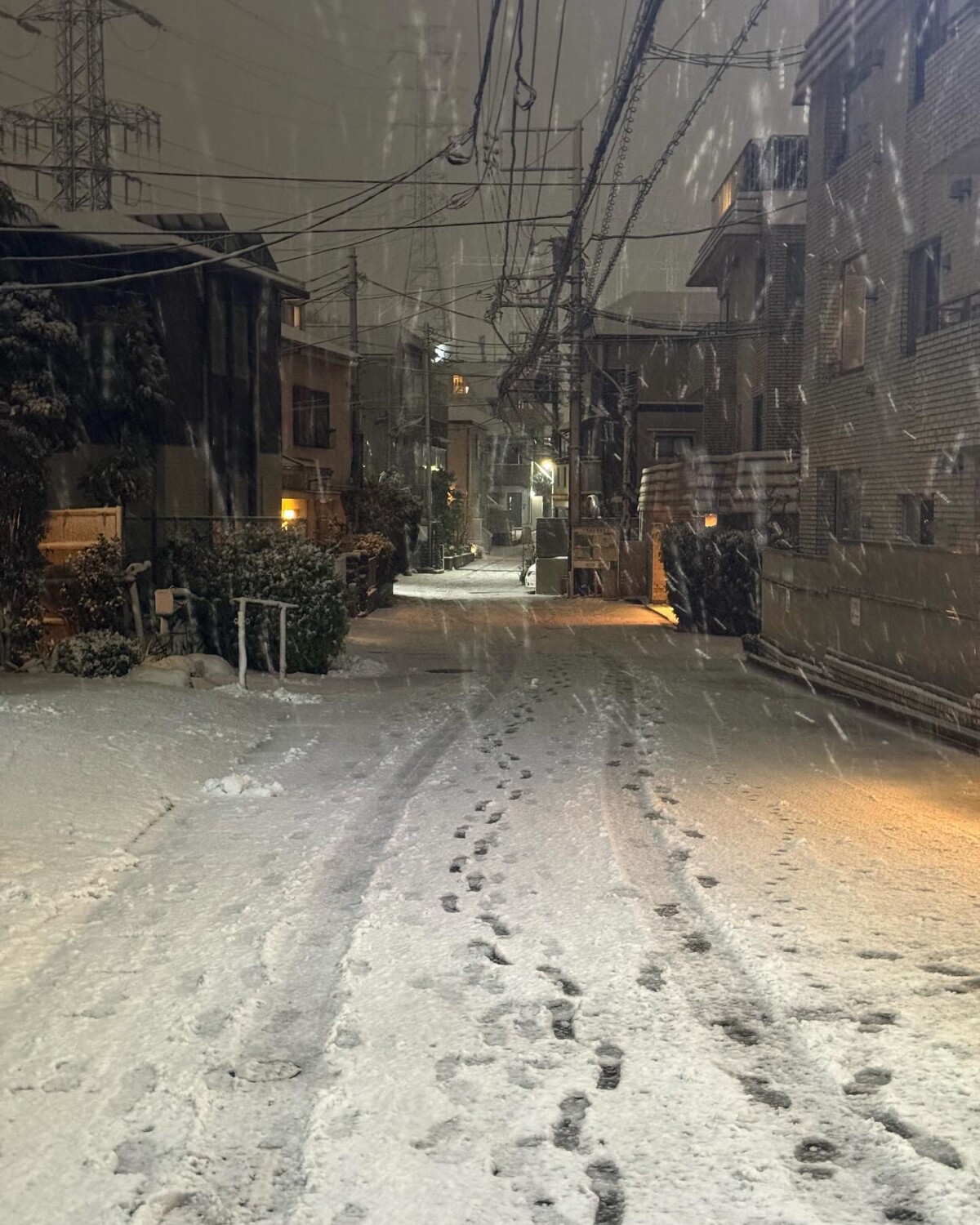 neve giappone tokyo