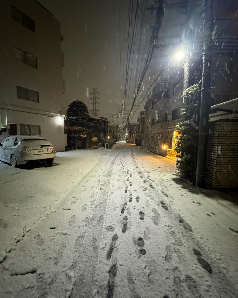 neve giappone tokyo