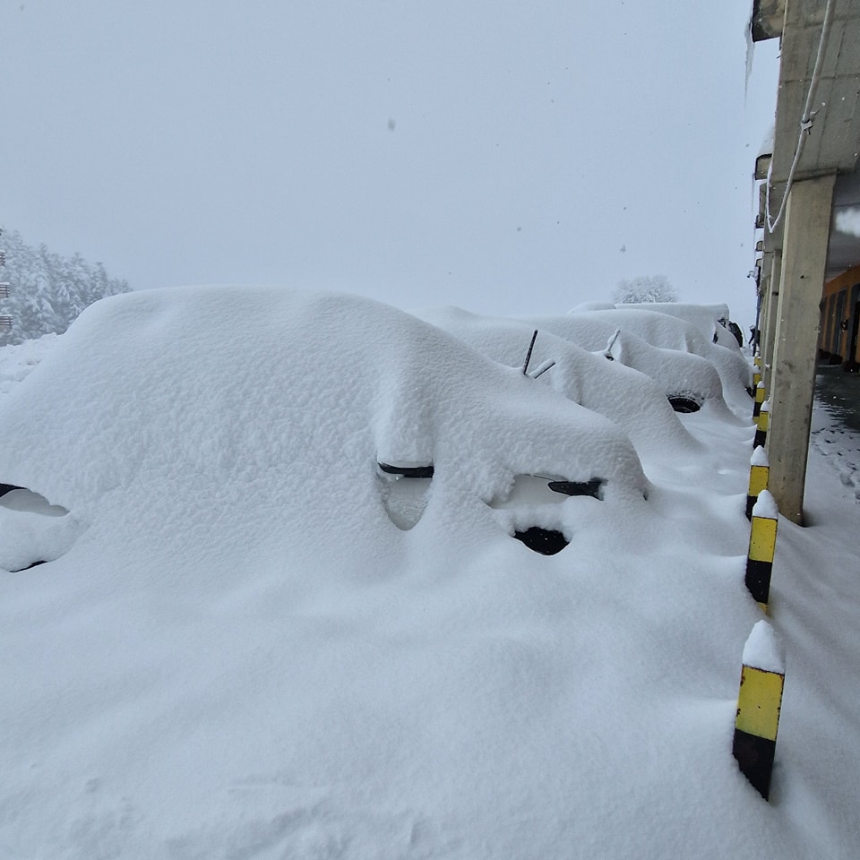 neve alpi piemonte prato nevoso