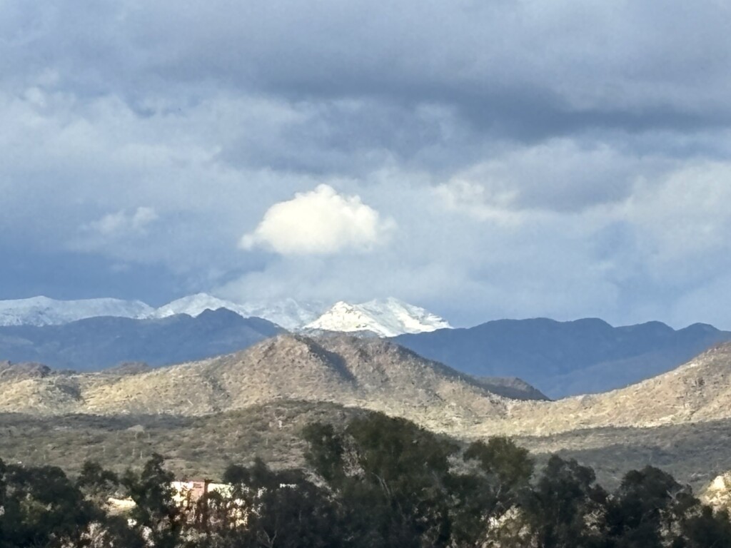 neve arizona