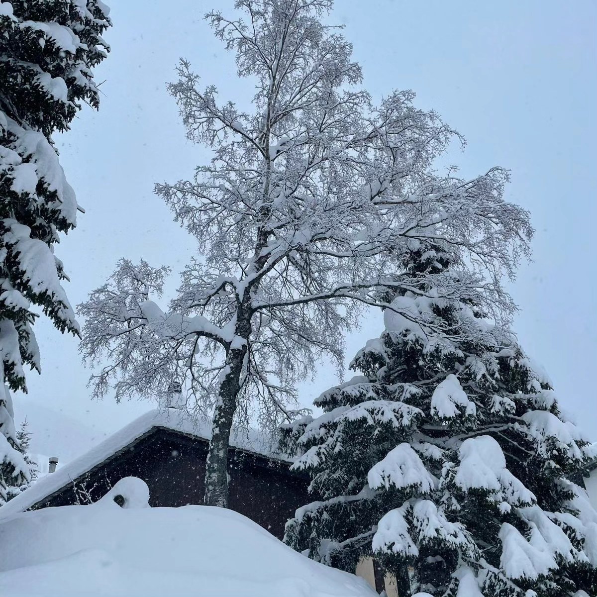 neve madesimo lombardia