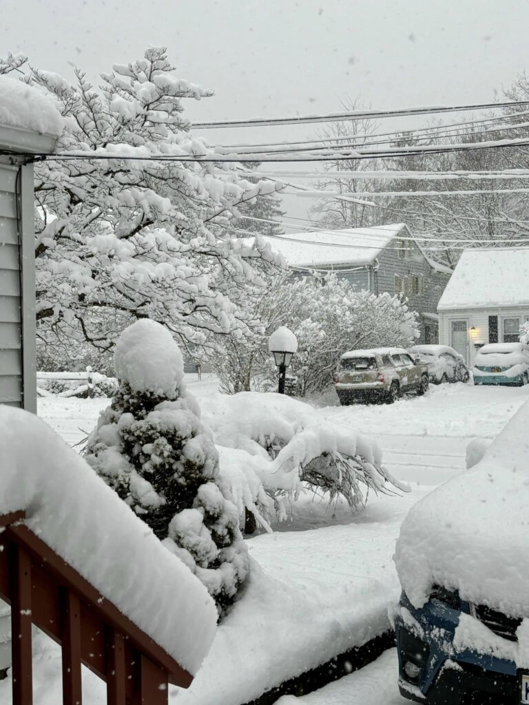 neve nordest usa new york