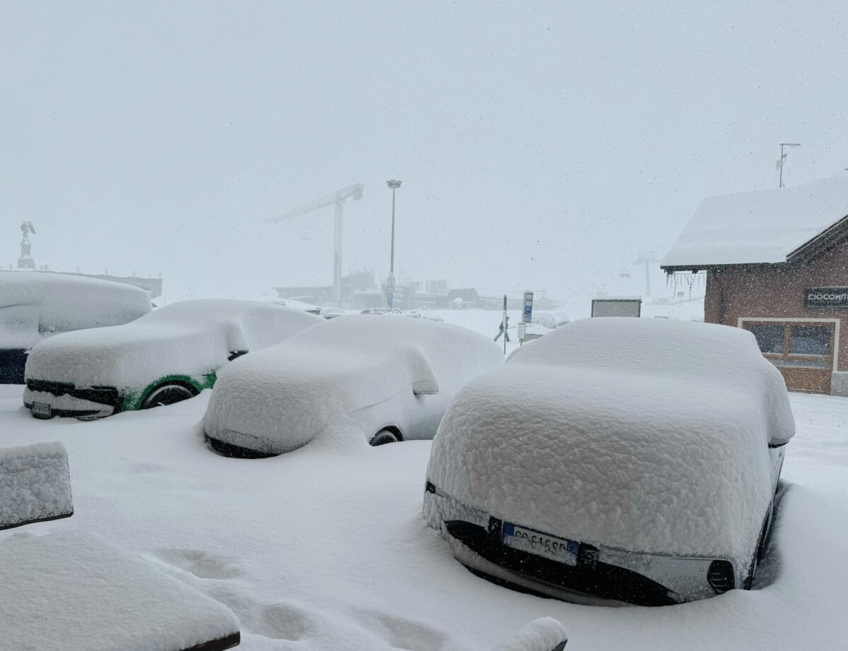 neve passo del tonale trentino