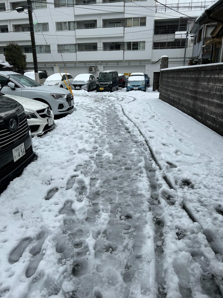 neve tokyo