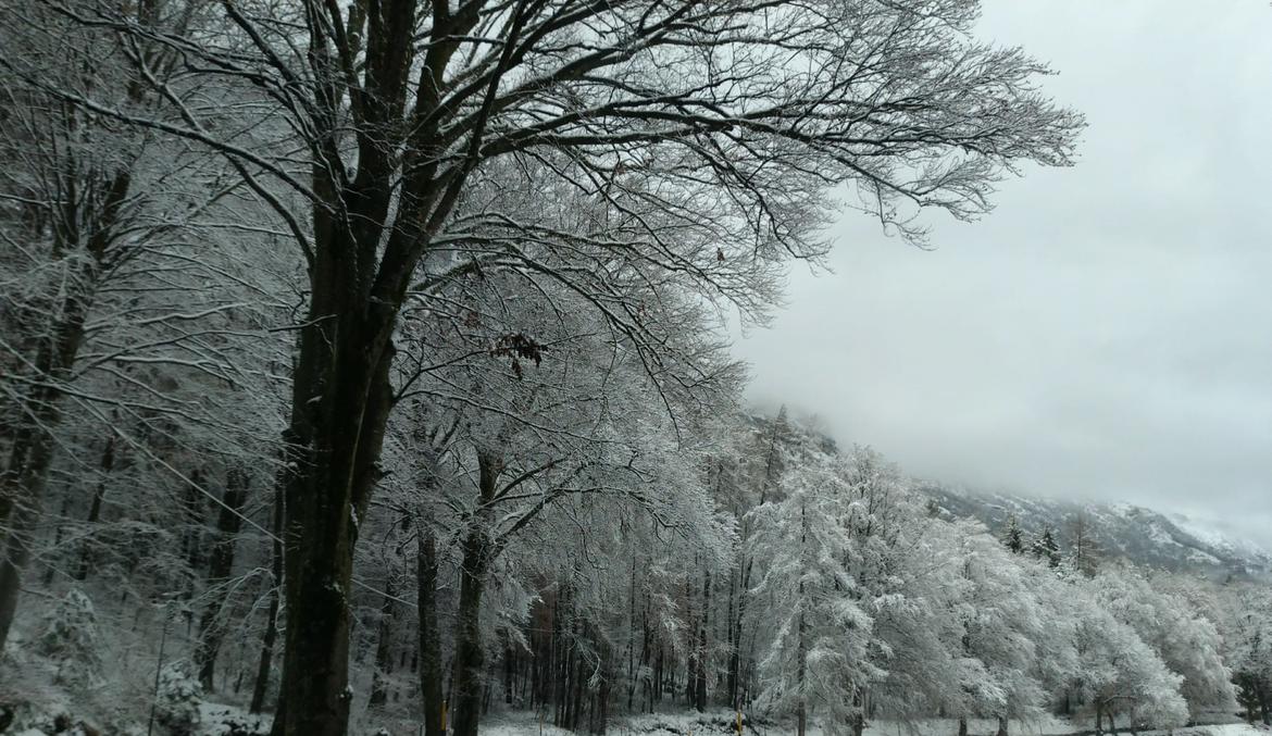 neve trentino