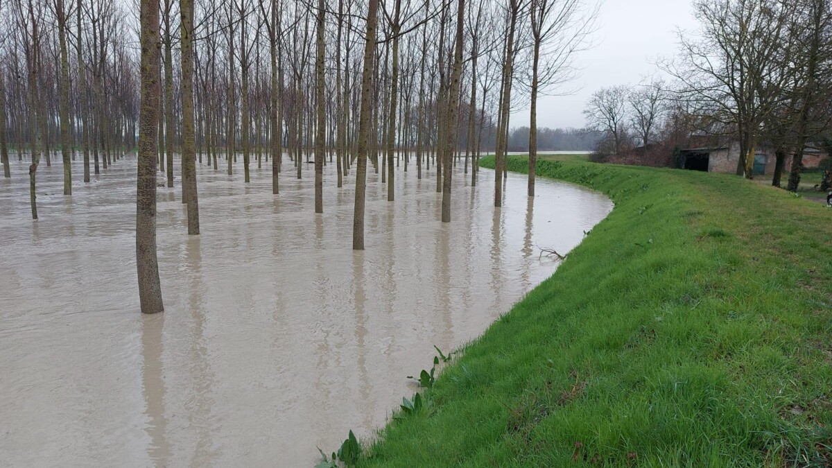 piena fiumi emilia-romagna fiume enza oggi