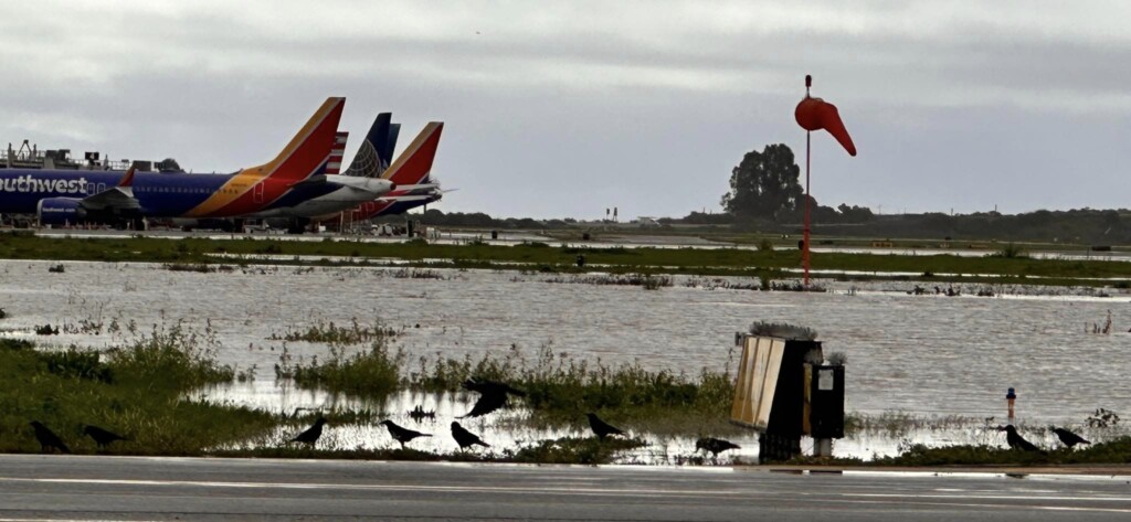 tempesta california