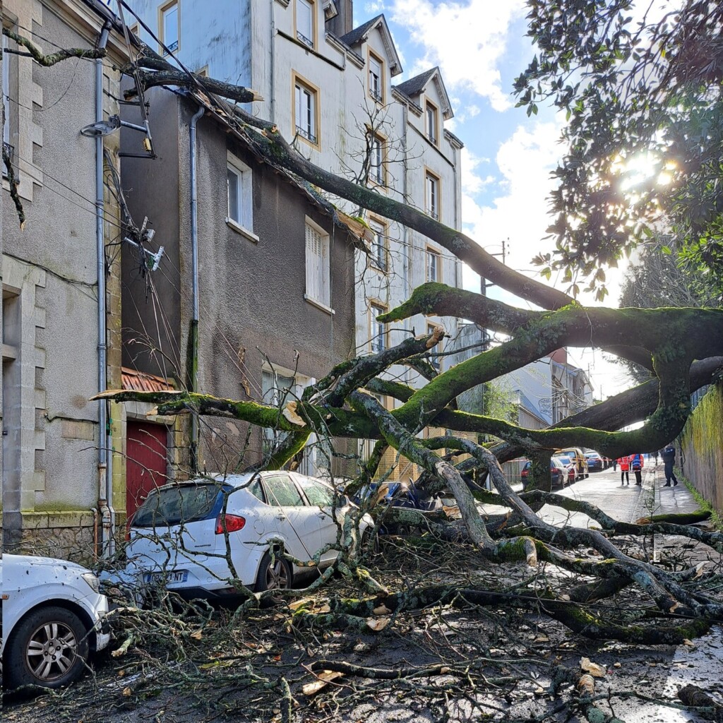 tempesta louis francia