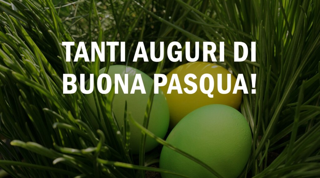 auguri di buona pasqua 2024 immagini originali simpatiche divertenti