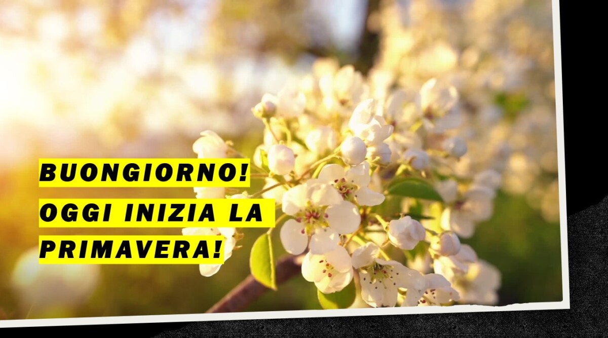 buongiorno primavera equinozio buon giorno primaverile